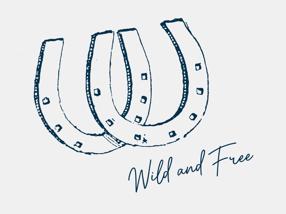 Wild and Free Horseshoes by Jolly and Dash — canvas wall art