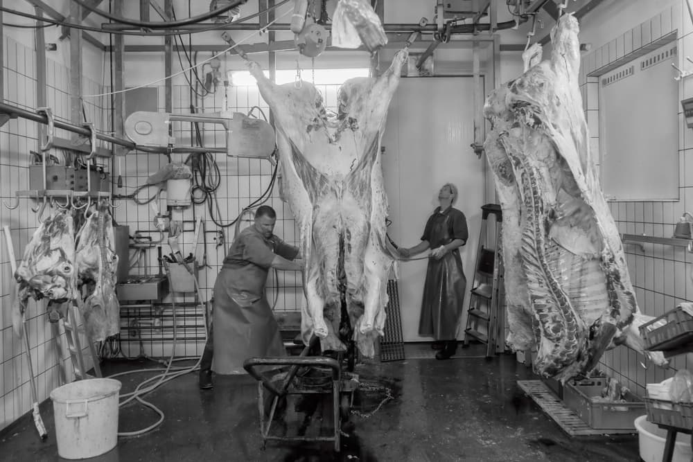 Butchery Processing Plant by Gert van den Bosch — canvas wall art