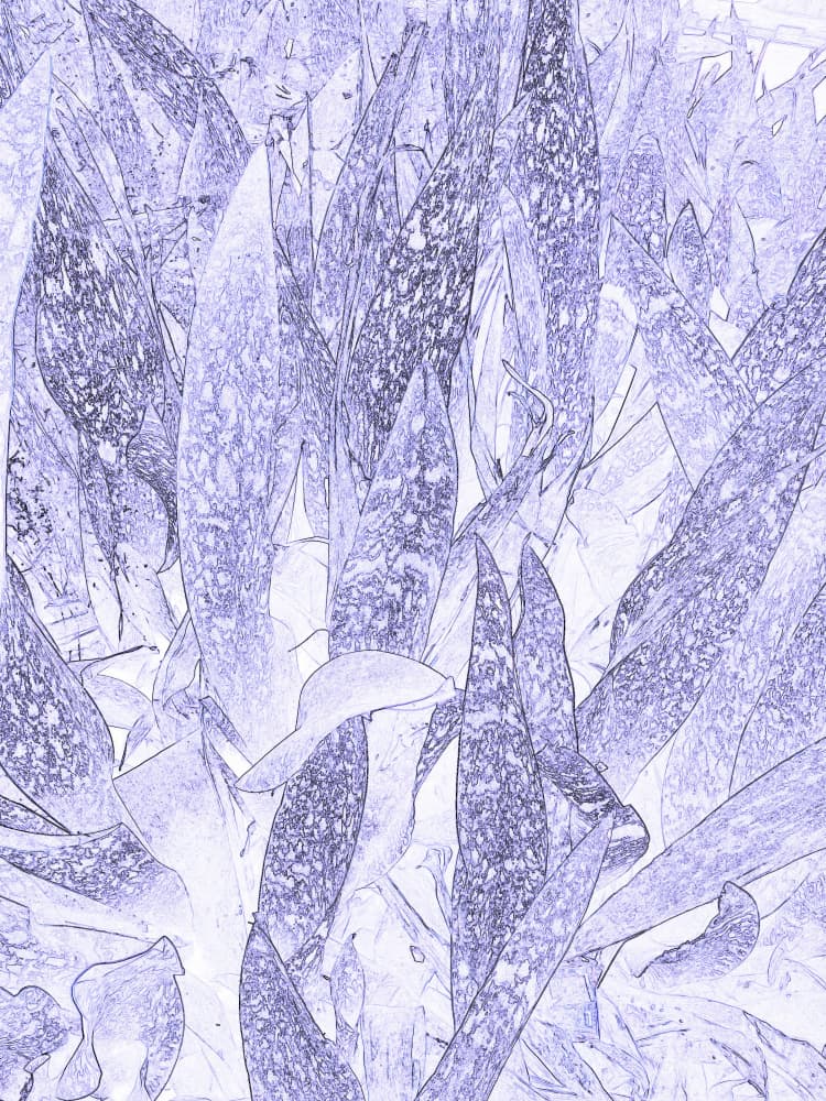 Purple Botanical Sketch by Santhosh ch — canvas wall art