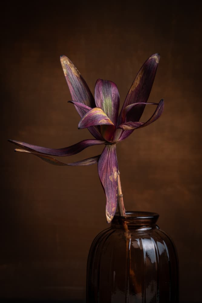 still life by Ruth Franke — canvas wall art