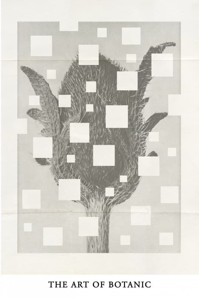 The art of botanic No.3