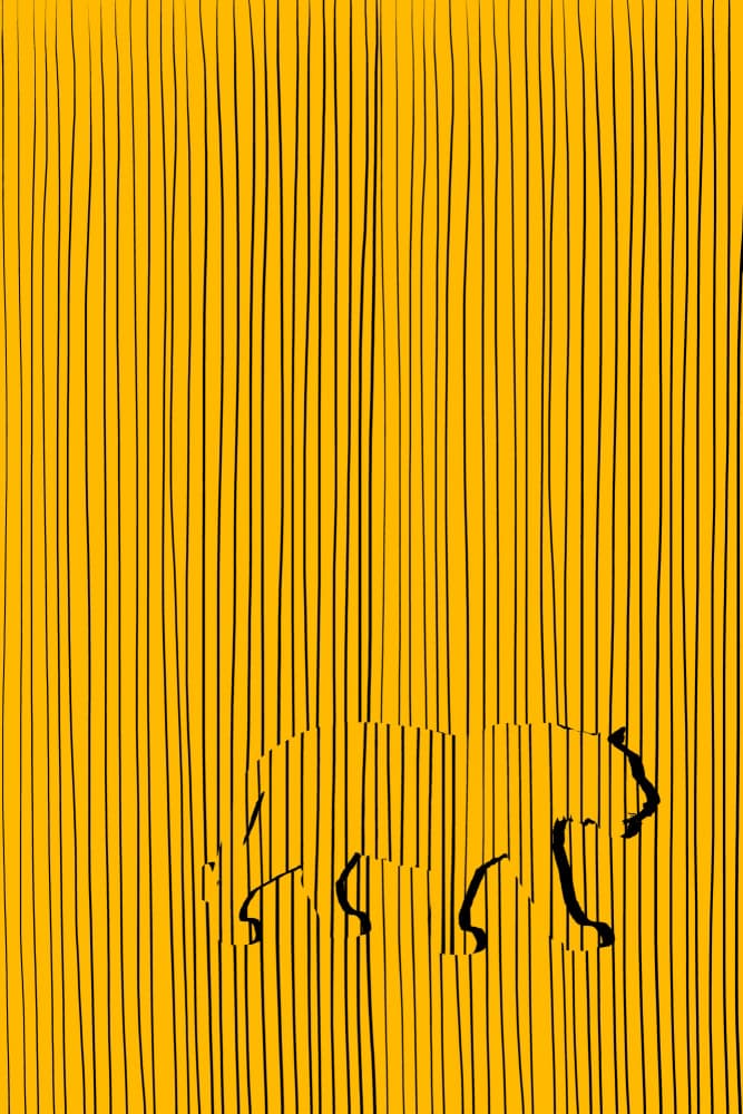 Hidden Tiger Stripes by Anja Runfors Essén — canvas wall art