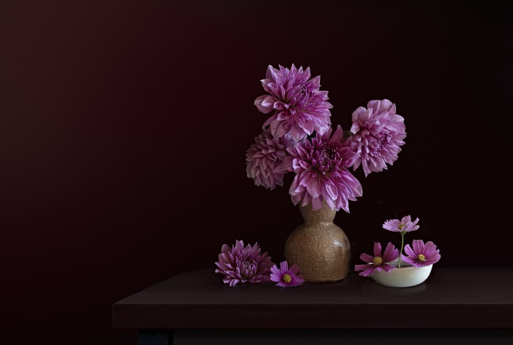 Moody Dahlia Bouquet by Juan Antonio Palacios — canvas wall art