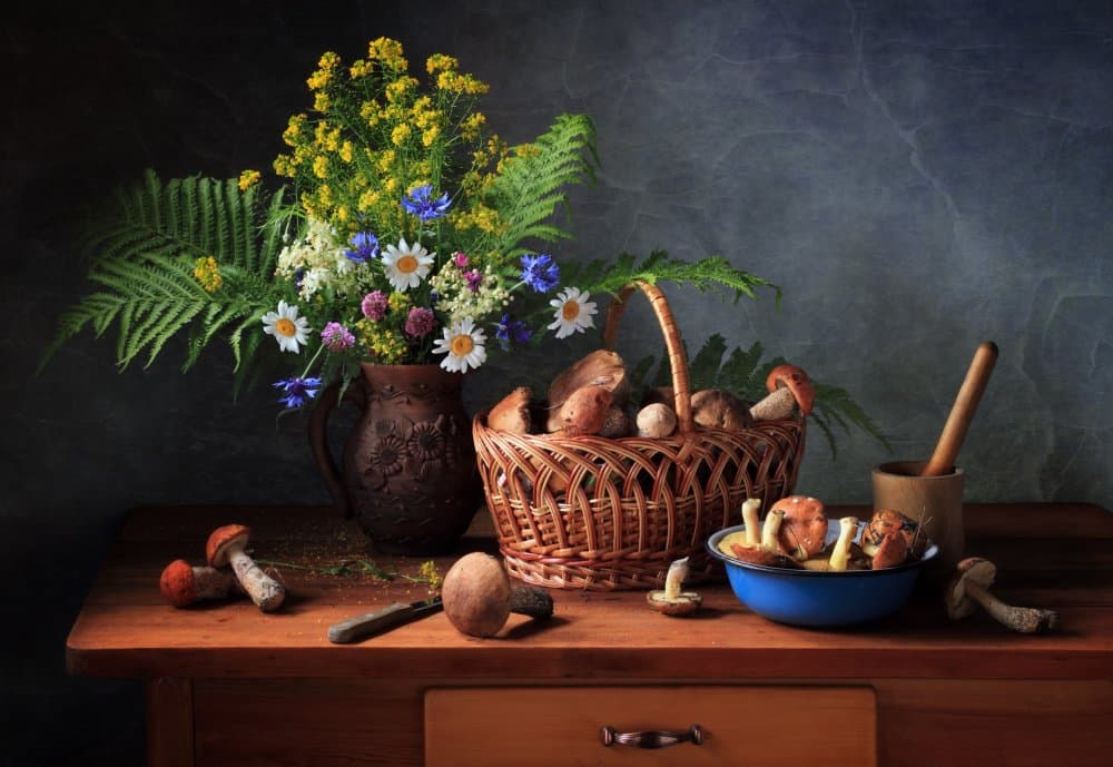 Forest Mushroom Harvest by Tatyana Skorokhod — canvas wall art