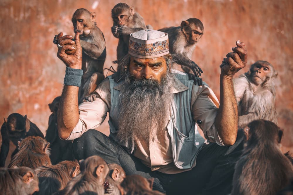 Sadhu and His Monkeys by Milton Louiz — canvas wall art