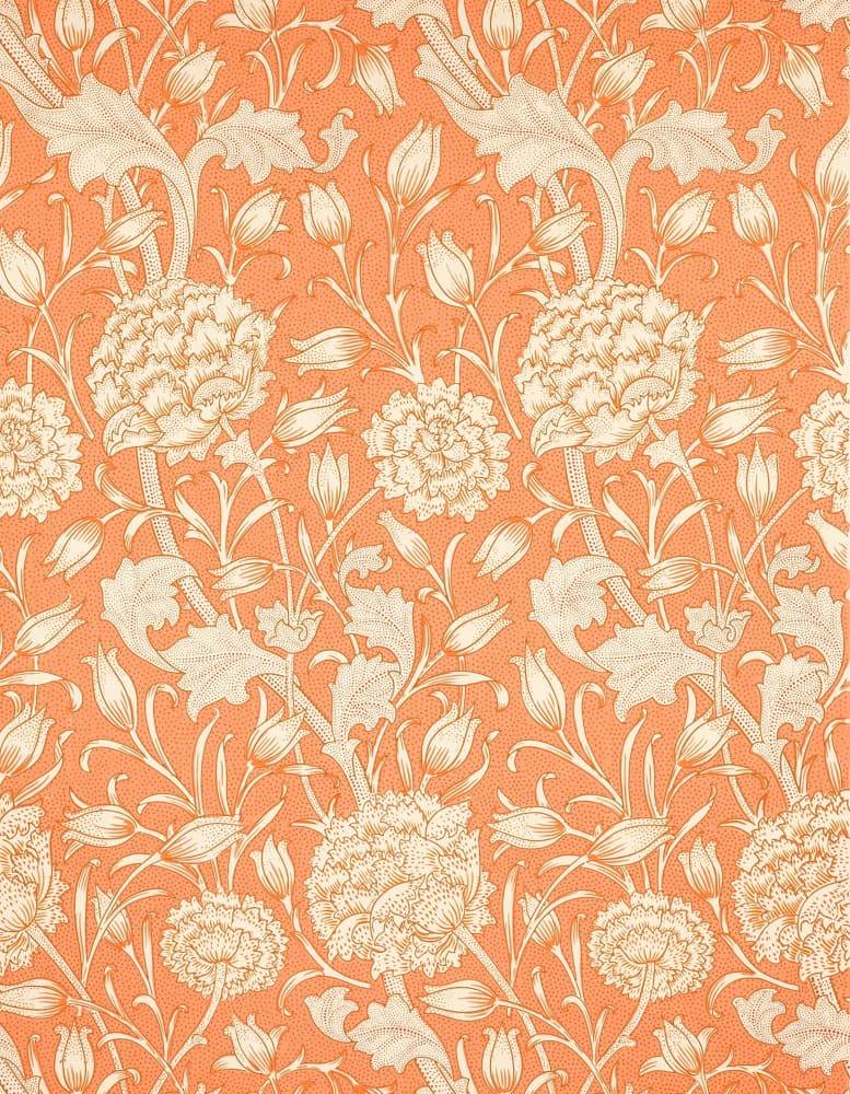 Wild Tulip by William Morris — canvas wall art