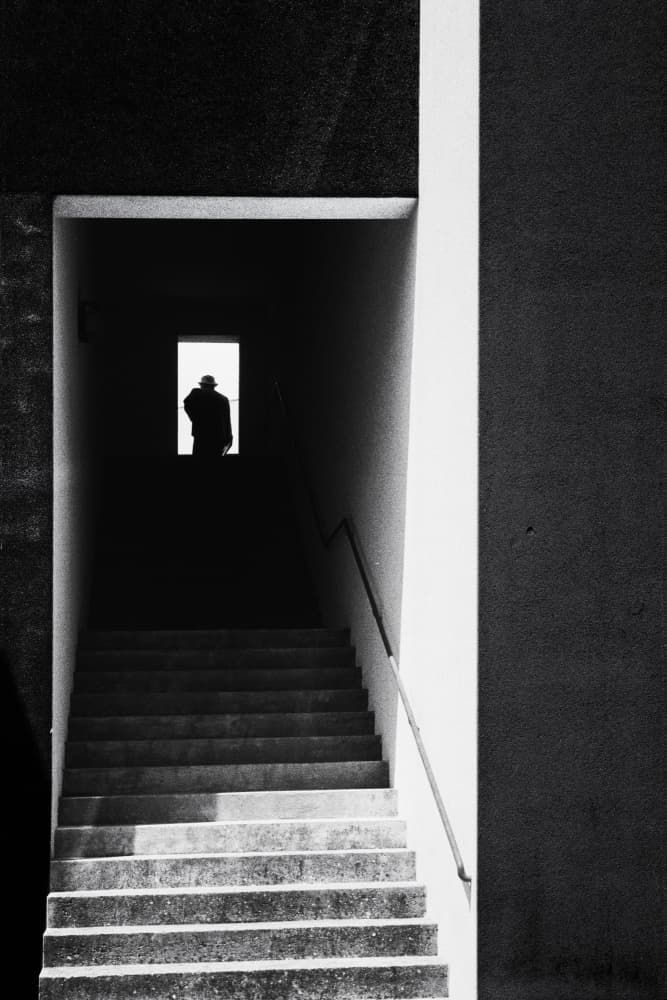 Ascending Lone Silhouette by Paulo Abrantes — canvas wall art
