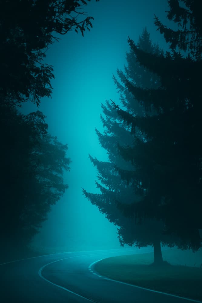 Mysterious Foggy Road by Andrea Fraccaroli — canvas wall art