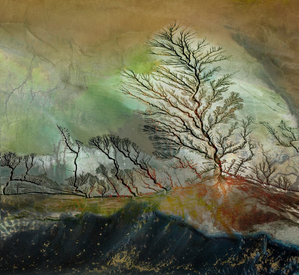 Natural Branching Landscape