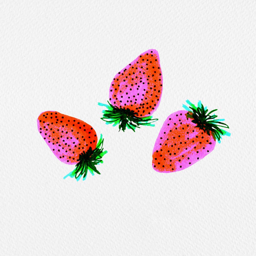 Vibrant Pink Strawberries by Michele Channell — canvas wall art