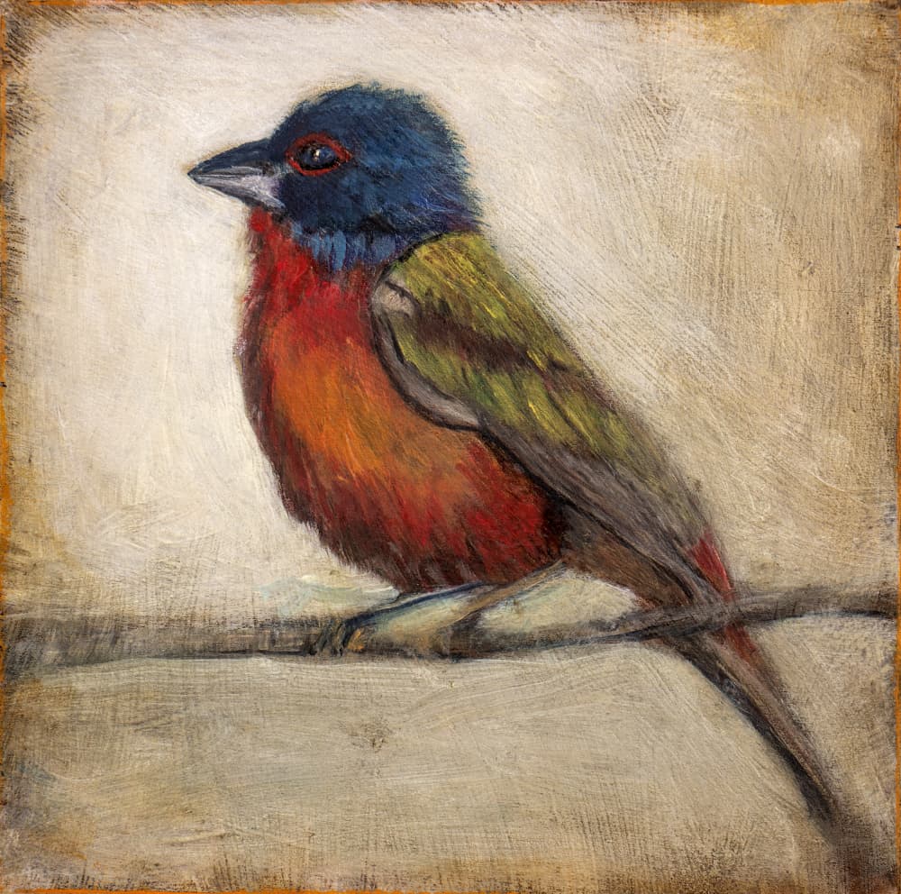 Colorful Painted Bunting by Claire Lerner — canvas wall art