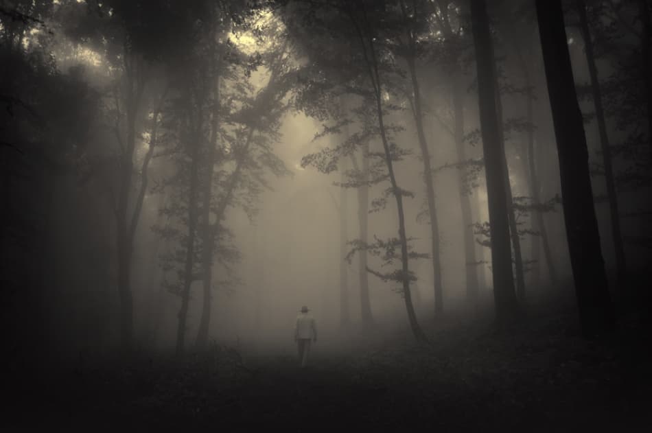 Mysterious Forest Path by PhotoCosma — canvas wall art