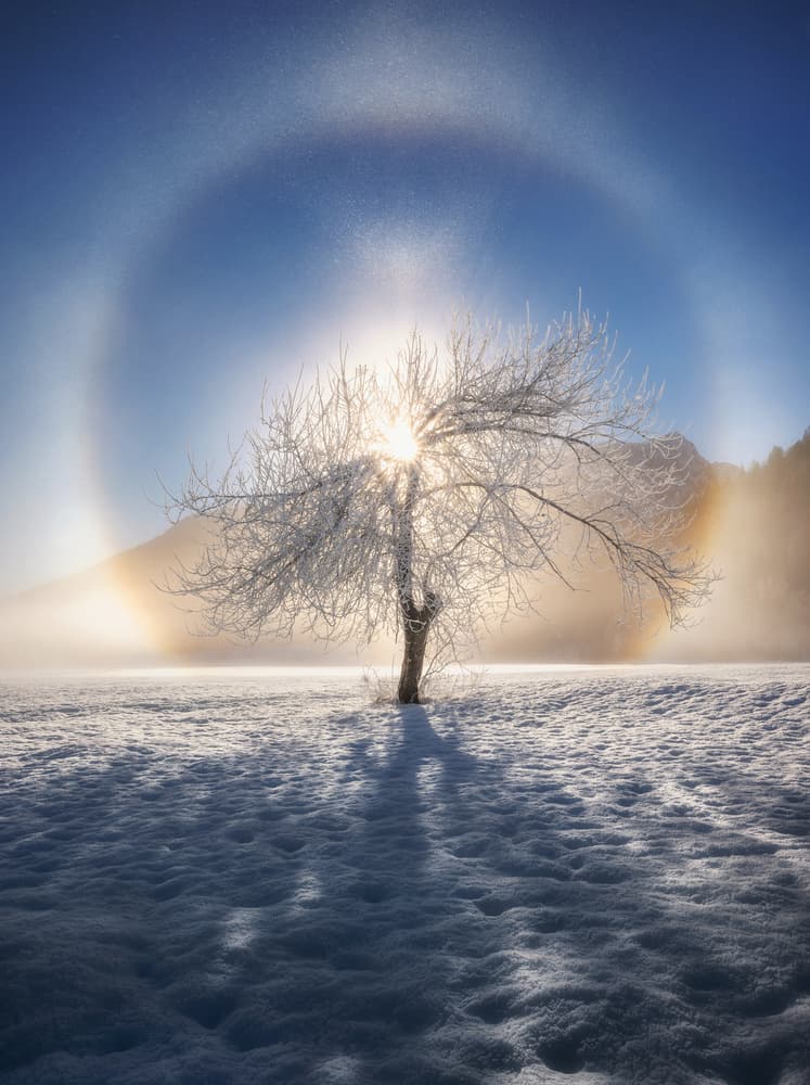 Solitary Winter Sun Halo by Ales Krivec — canvas wall art