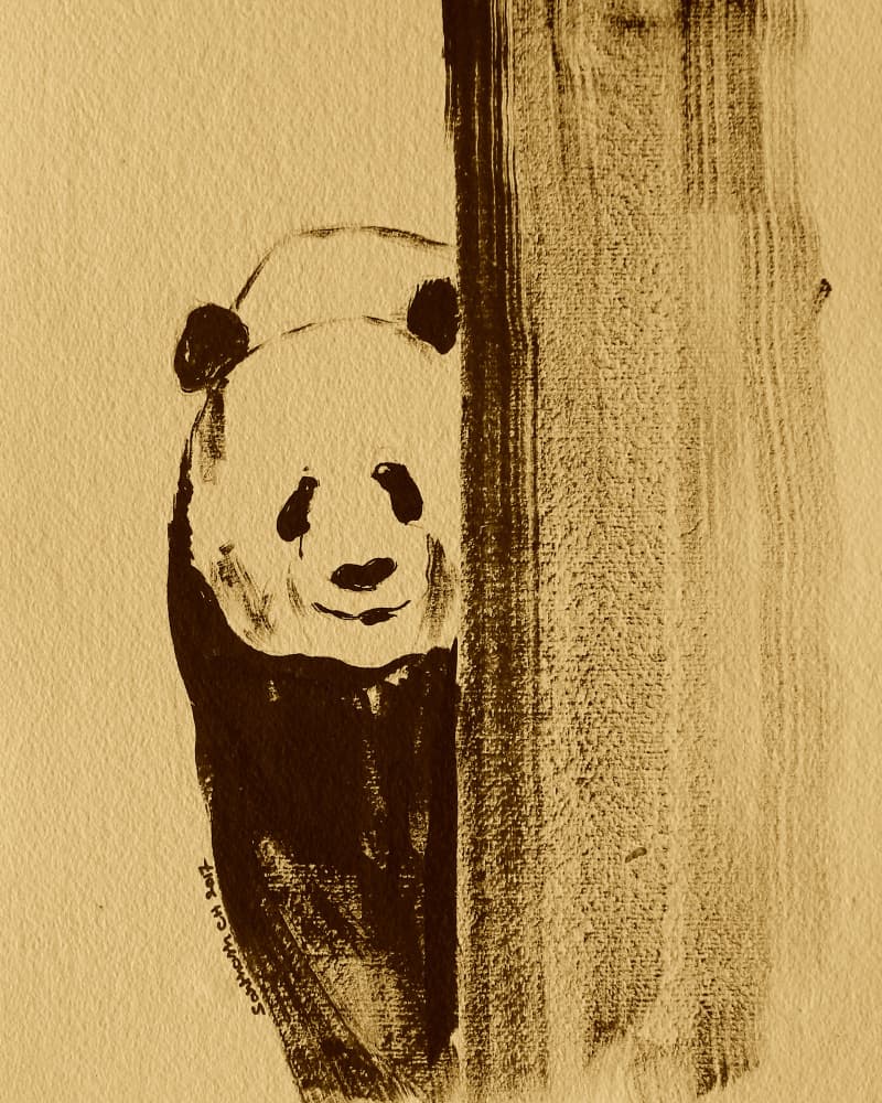 Shy Panda Peeking by Santhosh ch — canvas wall art