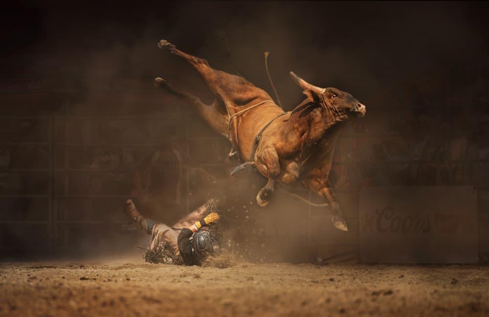 Rodeo Bull Action by Leeian Dai — canvas wall art