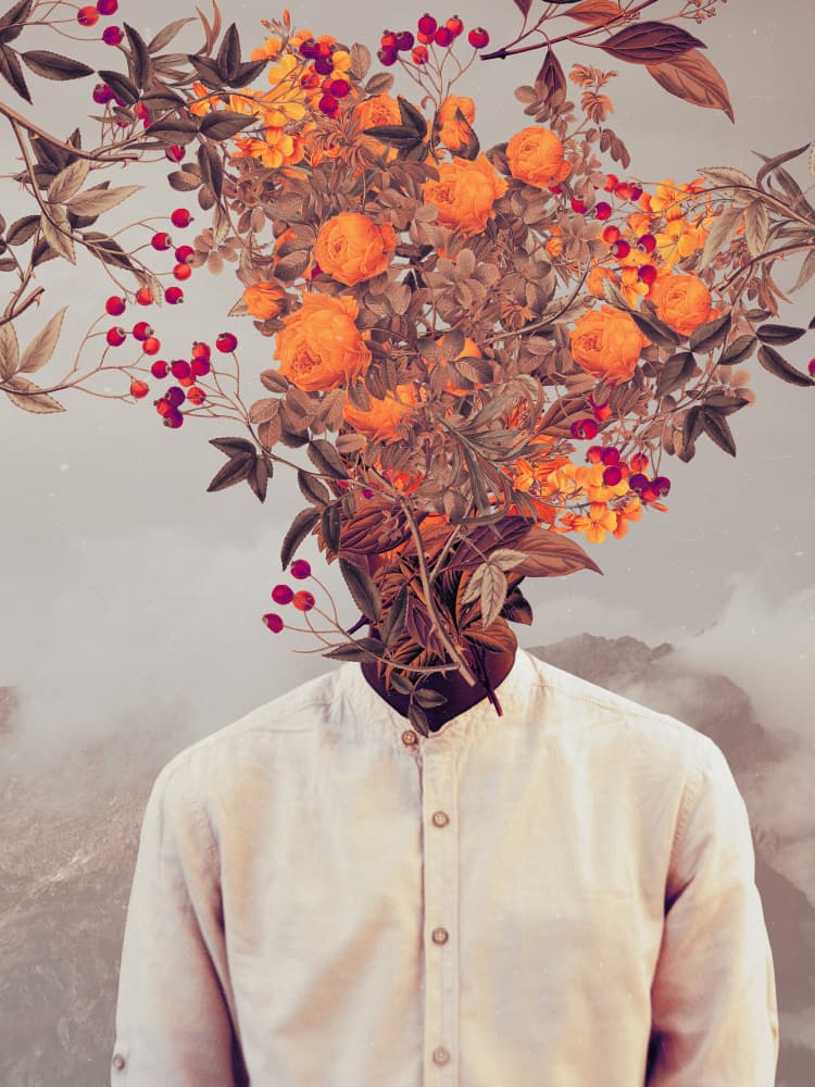 Bright Bloom by Frank Moth — canvas wall art