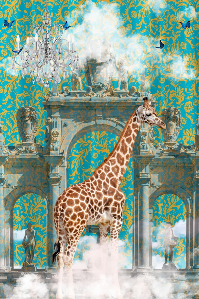 Majestic Giraffe Archway by Sue Skellern — canvas wall art