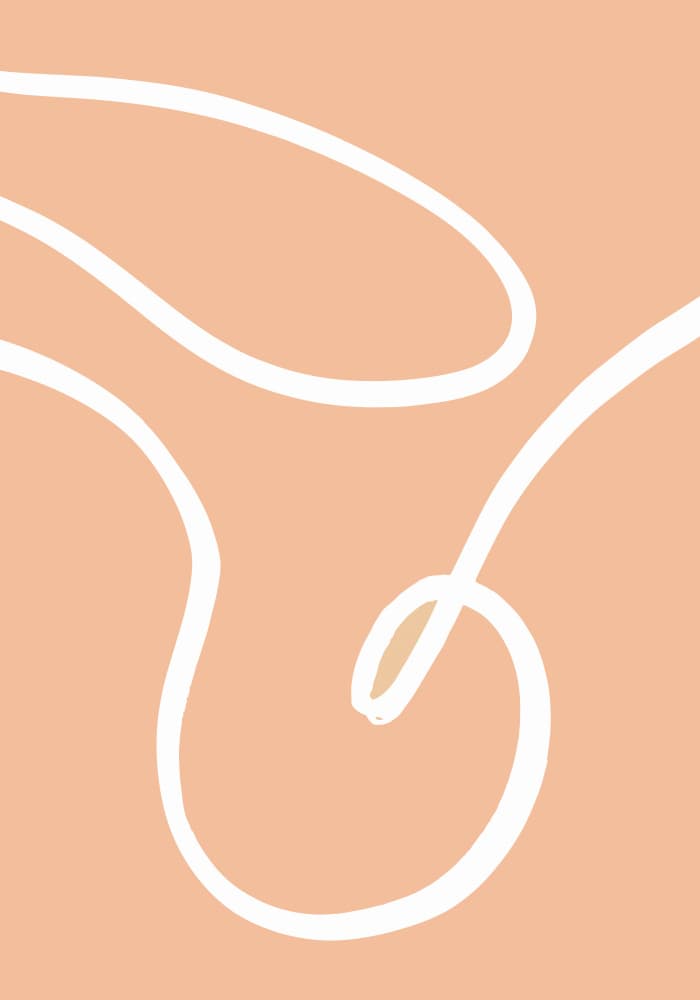 Fluid Peach Lines by Pictufy Studio — canvas wall art