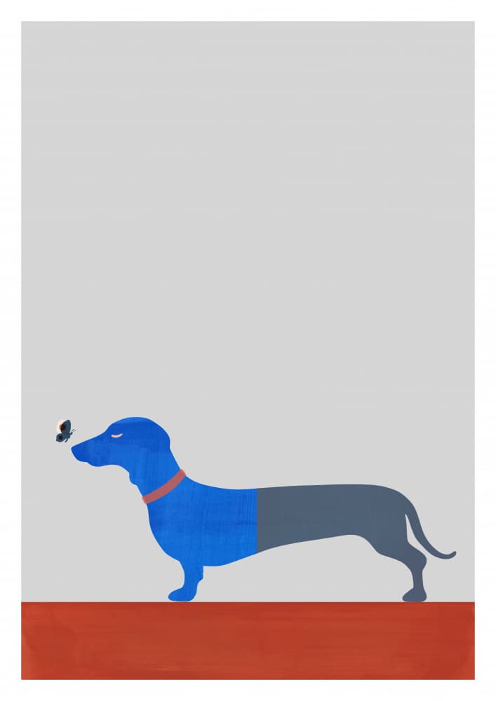 Curious Blue Dachshund by casa cartissi — canvas wall art