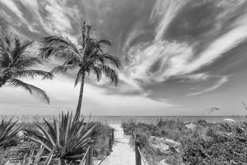 Tropical Beach Path by Melanie Viola — canvas wall art