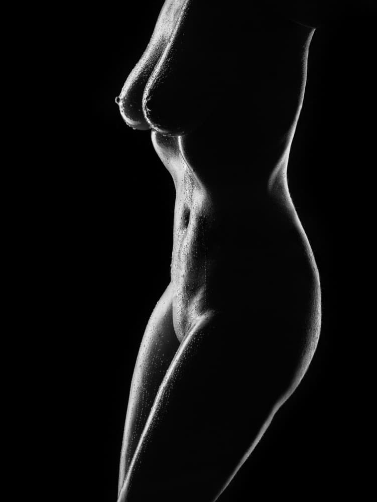 Sensual Nude Silhouette by Michael Allmaier — canvas wall art