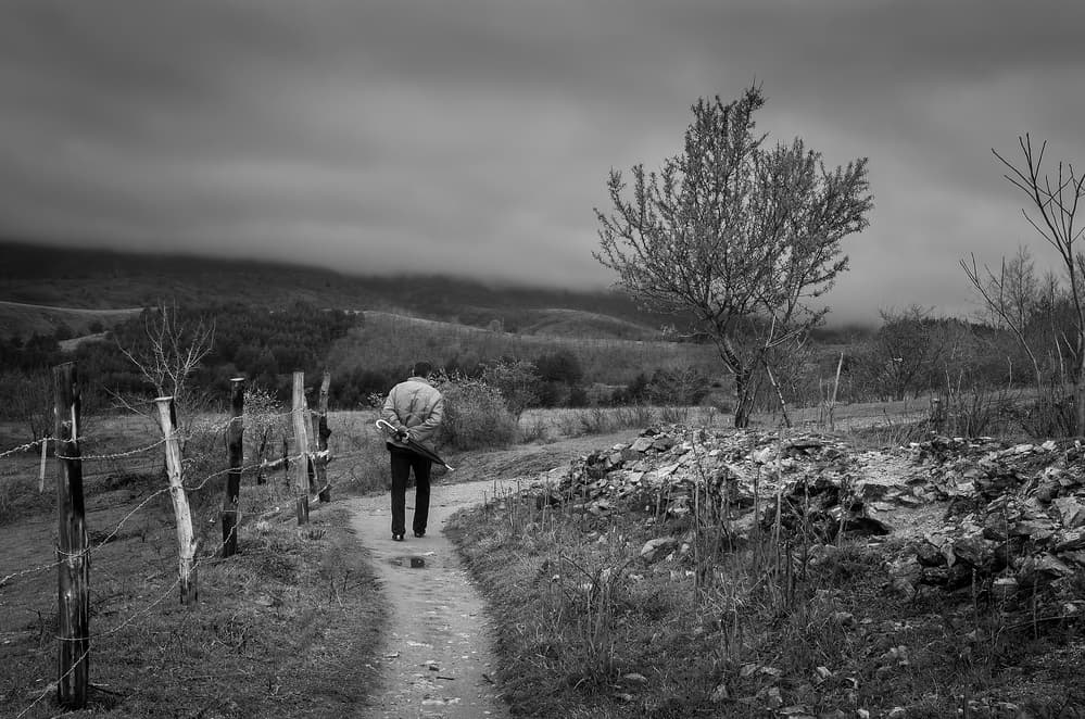 Moody Country Walk by Petar Boskovski — canvas wall art