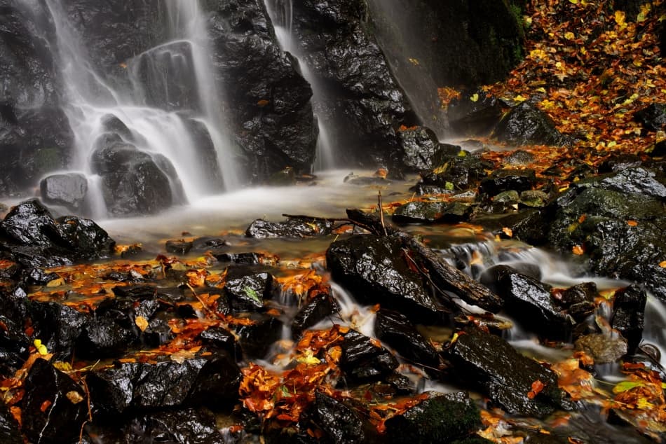 Autumn Forest Waterfall by Ivan Slosar — canvas wall art