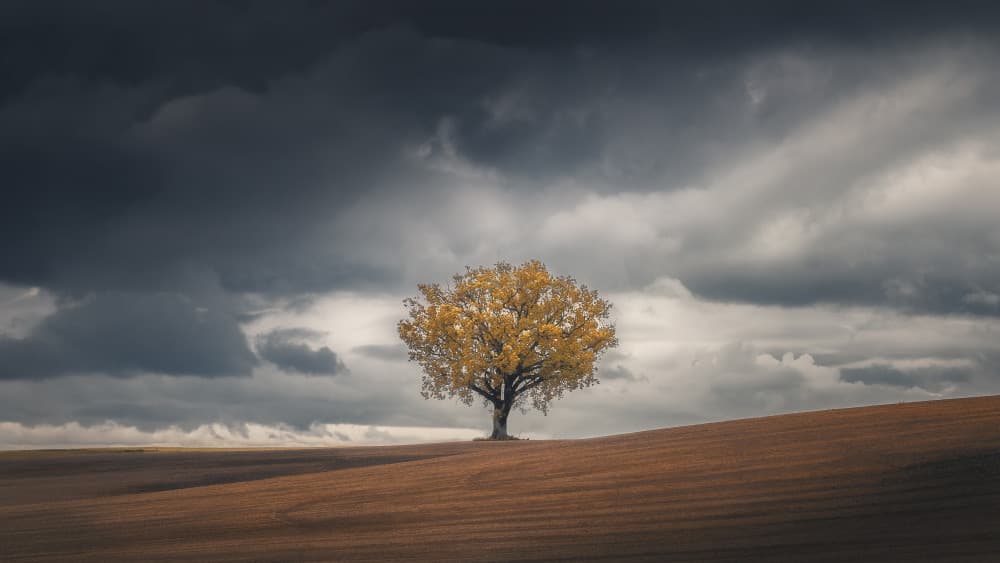 Golden Autumn Sky by Thomas de Franzoni — canvas wall art