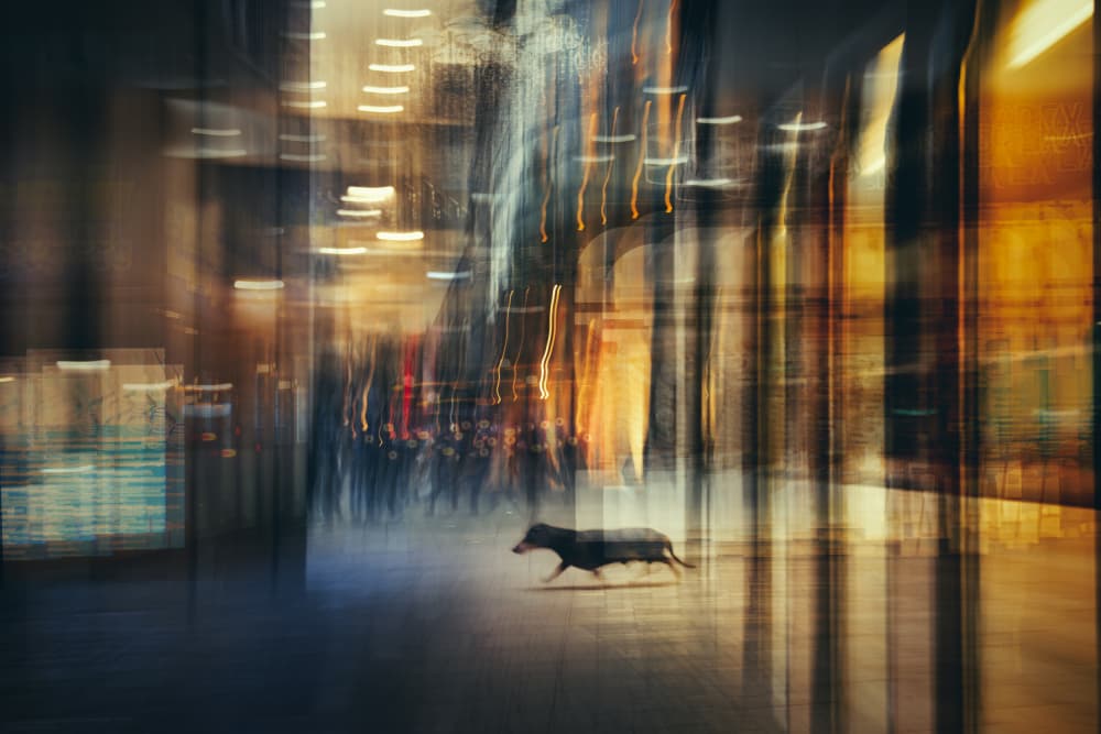Running City Blur by Heike Willers — canvas wall art