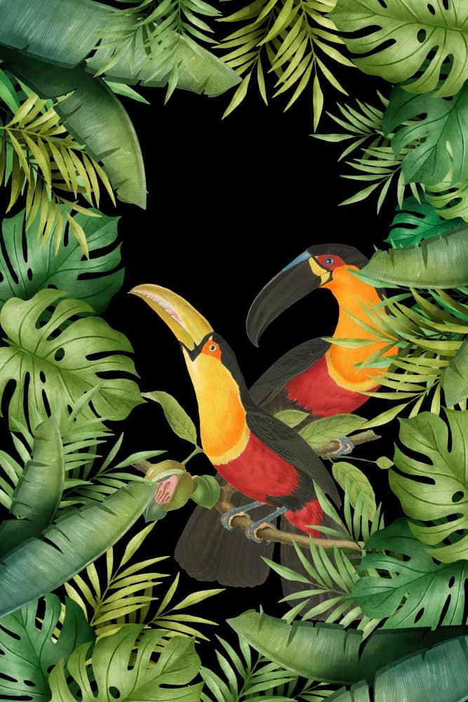 Vibrant Tropical Toucans by Andrea Haase — canvas wall art