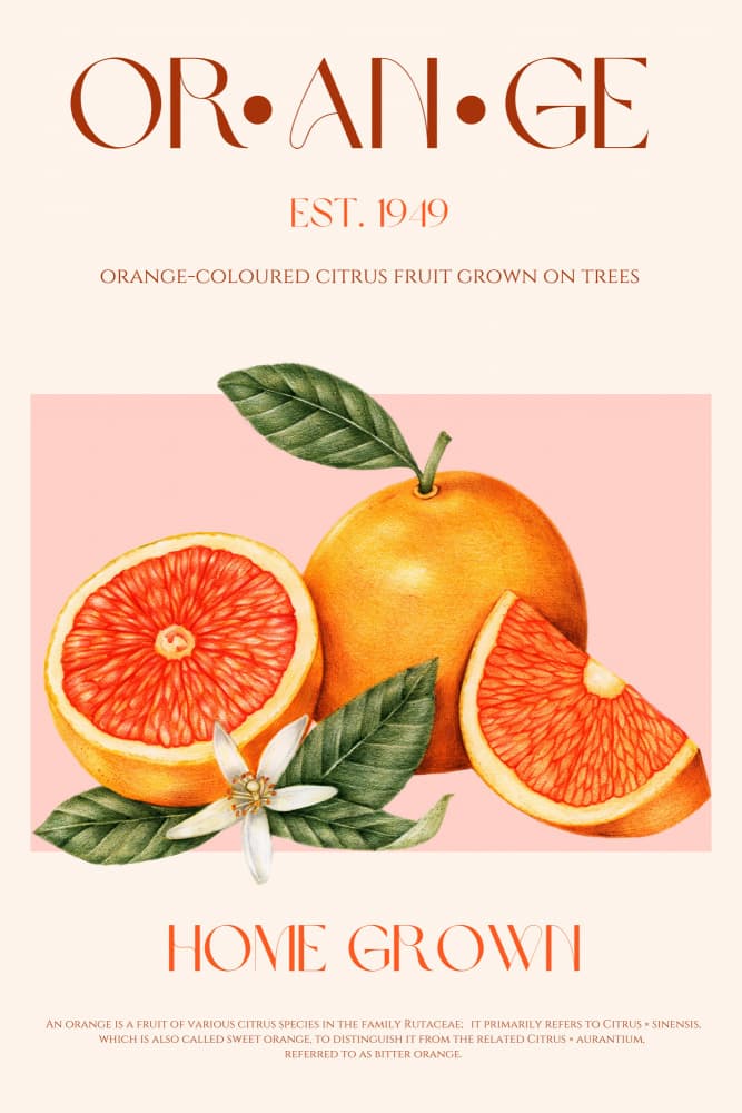 Fresh Orange Botanical by Nazma Khokhar — canvas wall art