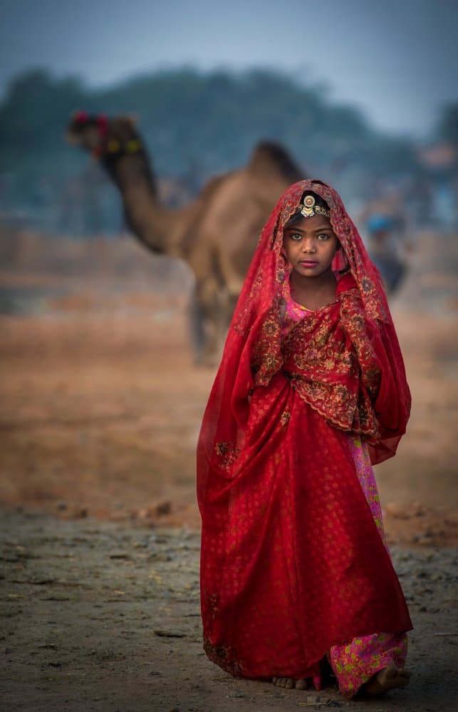 Rajasthani Girl and Camel by Rana Jabeen — canvas wall art