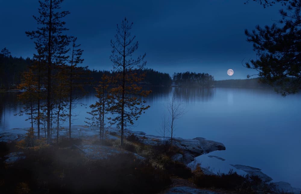 Moonlit Forest Lake by Nikki Georgieva V E G A N I K — canvas wall art
