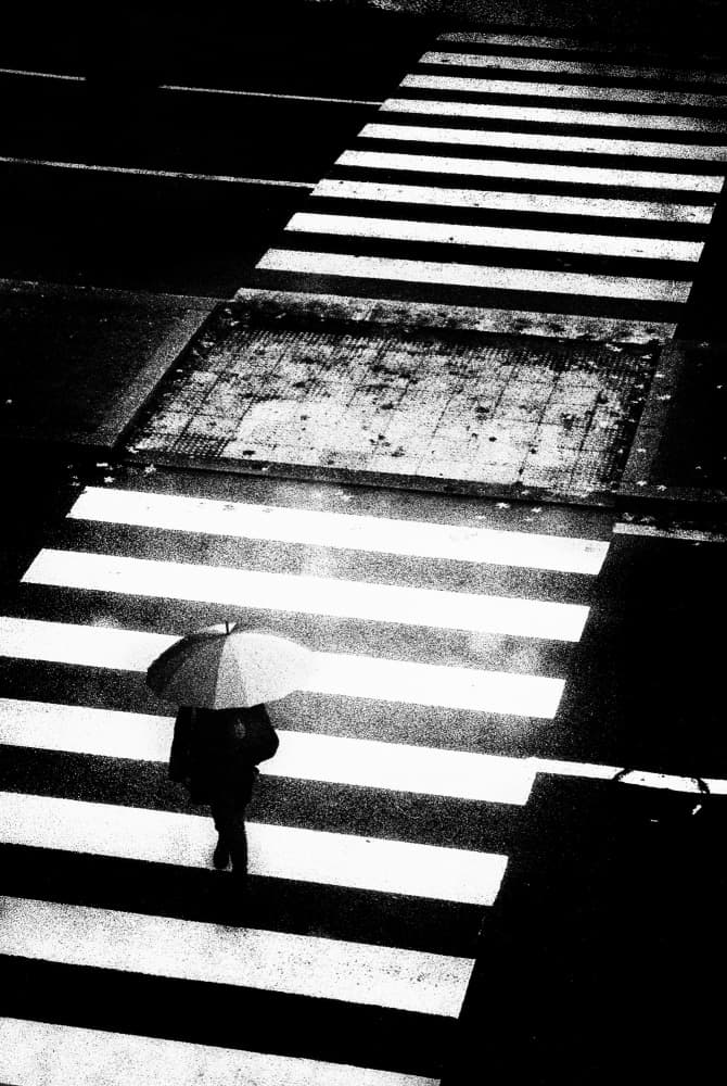 Rainy City Crosswalk by Paulo Abrantes — canvas wall art