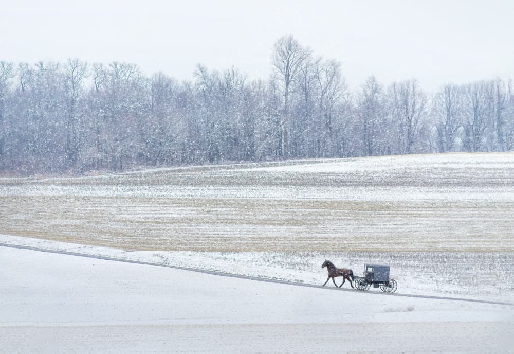 Peaceful Winter Buggy Ride by Yuzheng Ren — canvas wall art