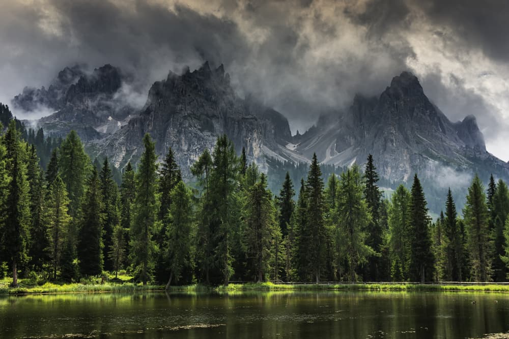 Misty Alpine Lake Forest by mihai ian nedelcu — canvas wall art
