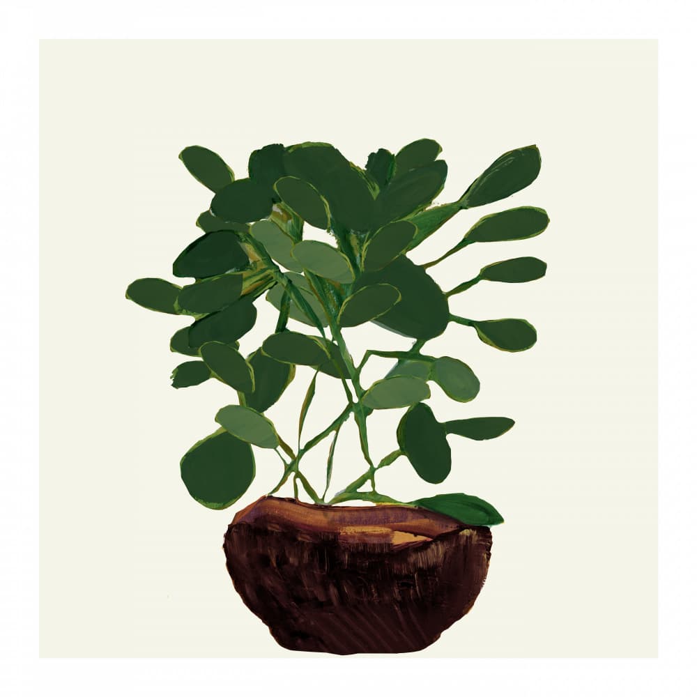 Green Potted Plant by cartissi — canvas wall art