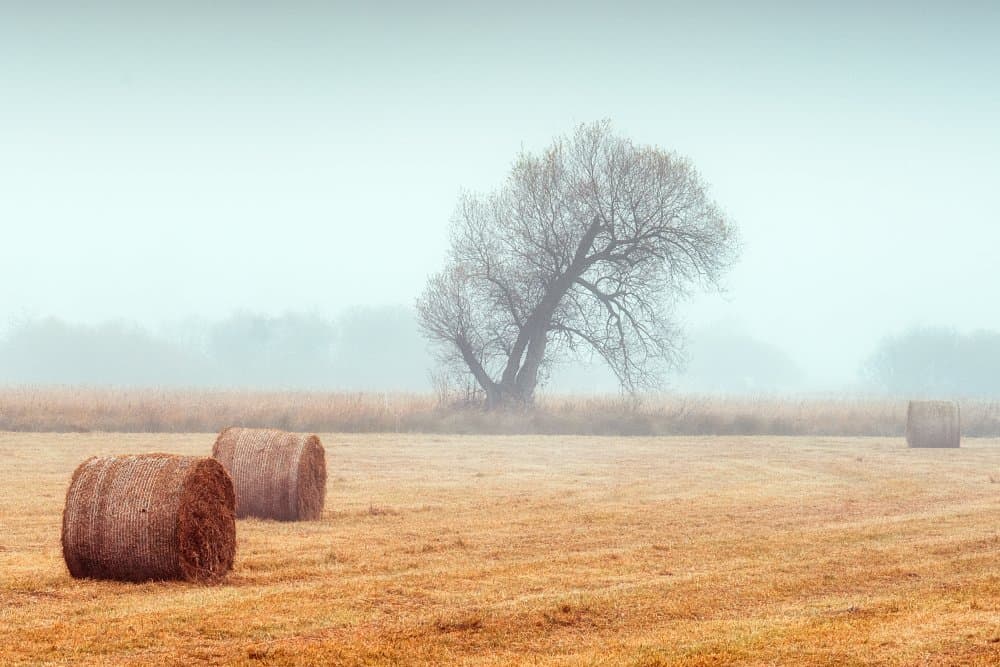Misty Field Hay Bales by Ulrike Eisenmann — canvas wall art