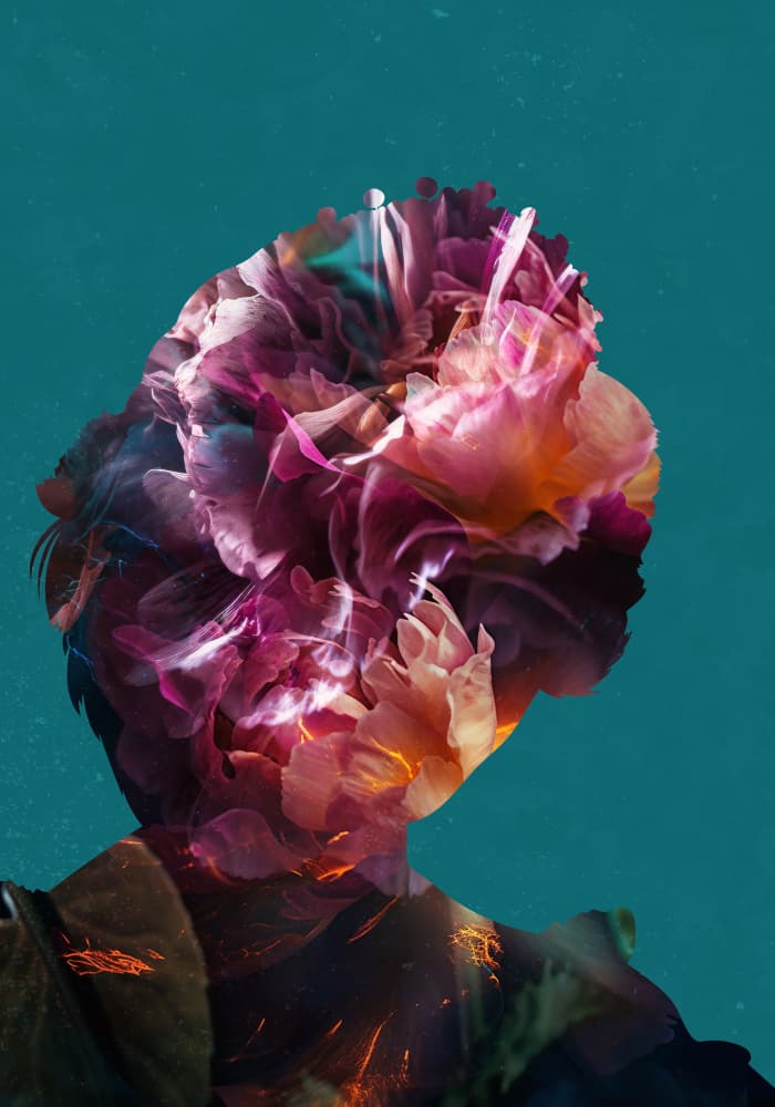 Dreamy Floral Silhouette by Sarah Manovski — canvas wall art