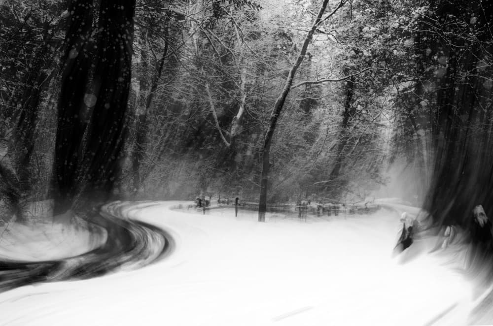 Dreamy Winter Forest Path by YoungIl Kim — canvas wall art