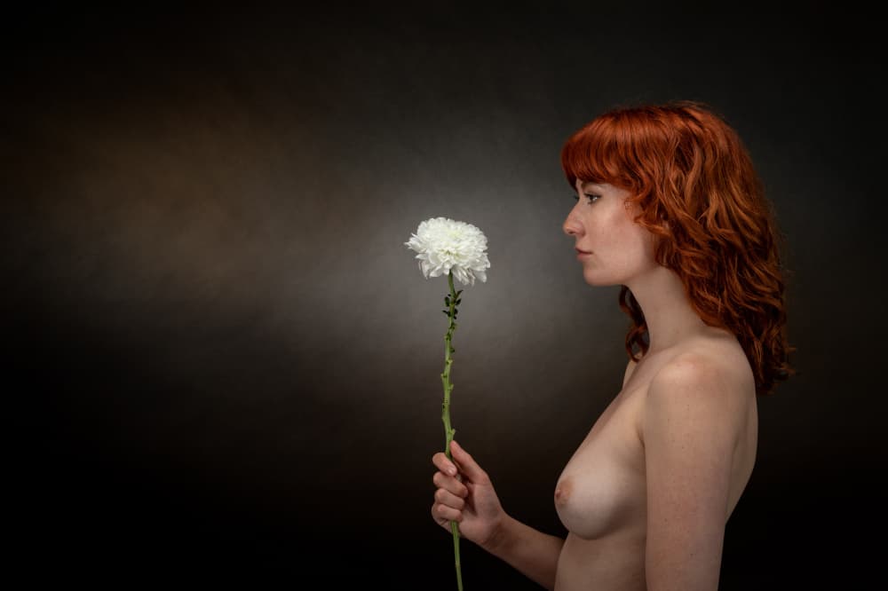 The Power of a damaged Flower by Luc Stalmans — canvas wall art
