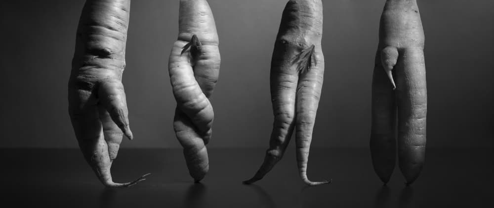 Elegant Root Ballet by Victoria  Glinka — canvas wall art