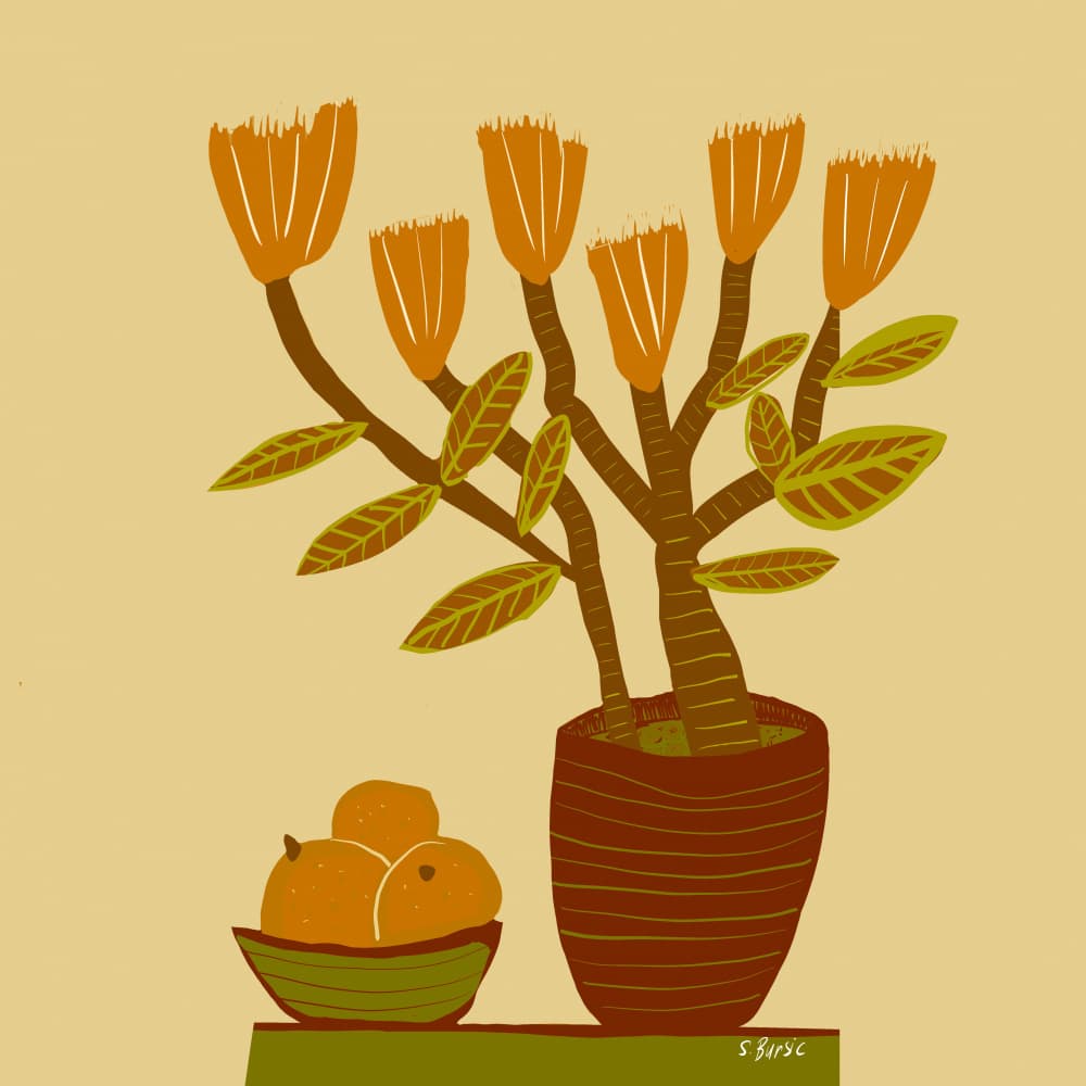 Warm Botanical Still Life by Sharyn Bursic — canvas wall art