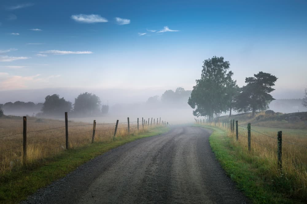 Misty Morning Road by Christian Lindsten — canvas wall art
