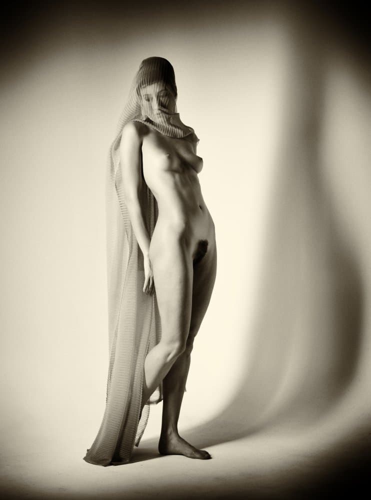 Mysterious Draped Nude by James Yang — canvas wall art