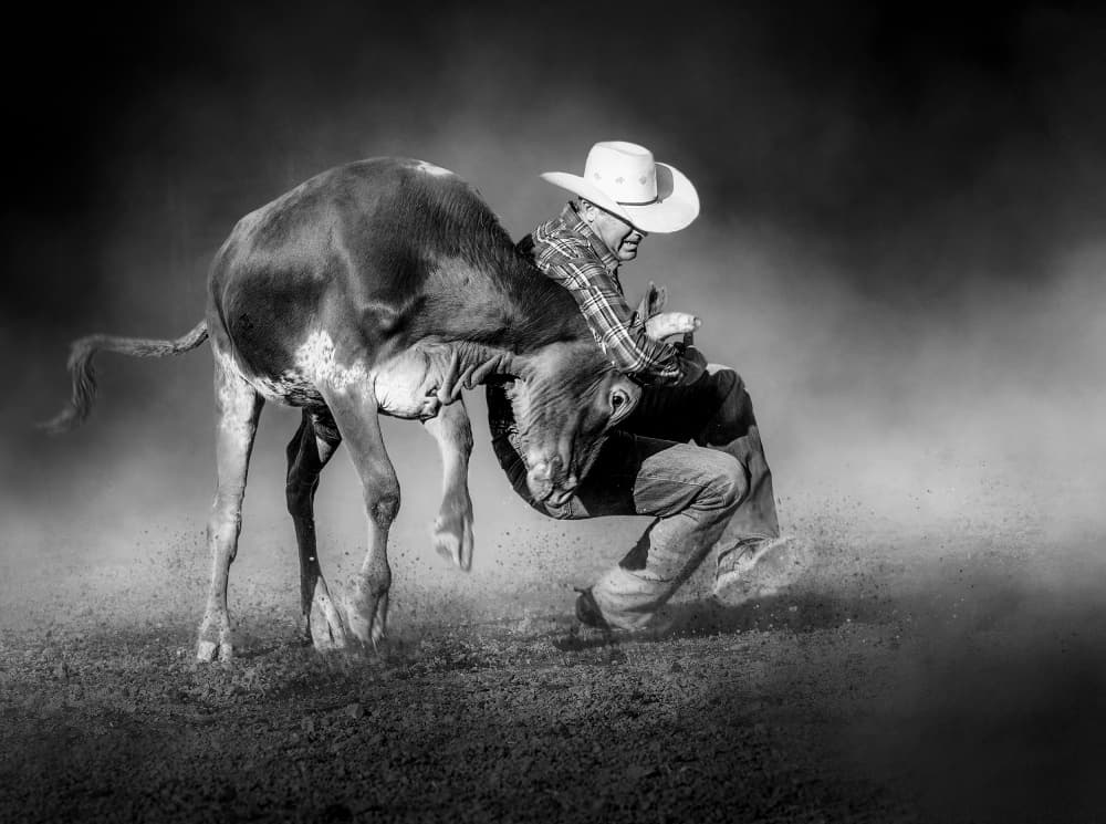 Cowboy Calf Struggle by Frank Ma — canvas wall art
