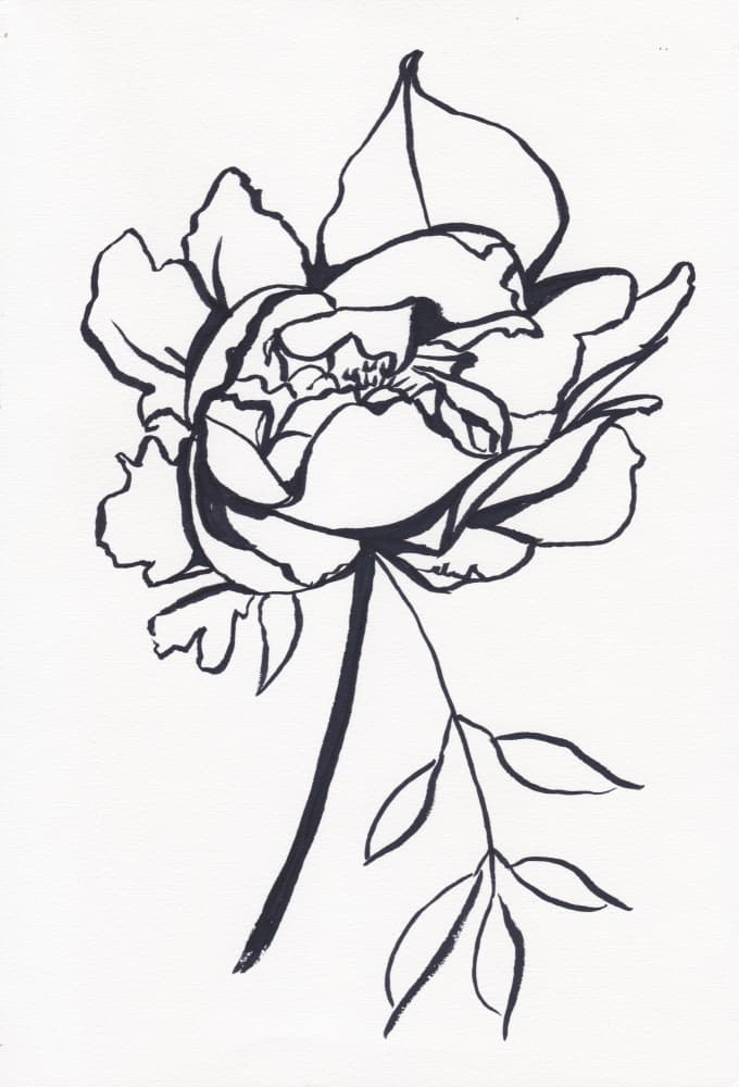 Elegant Floral Line Art by Christine Lindstrom — canvas wall art