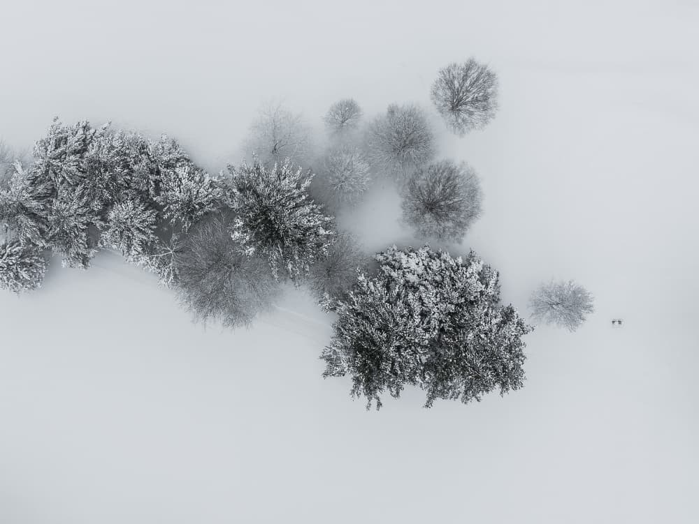 Serene Winter Landscape by Wei (David) Dai — canvas wall art