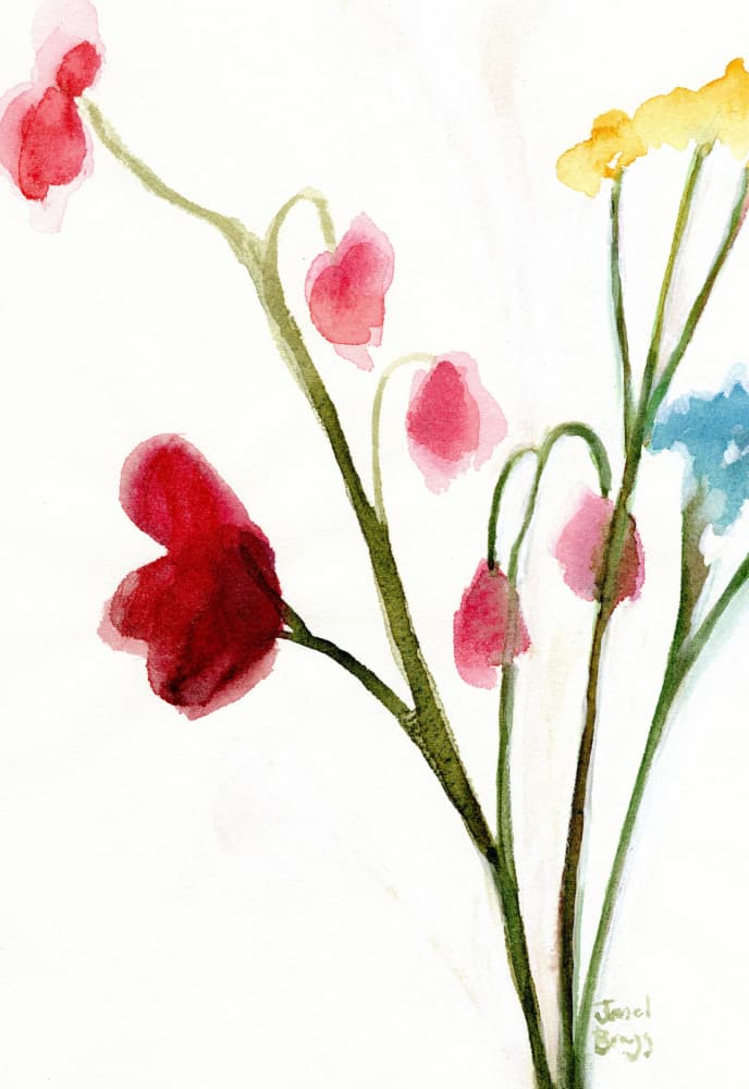 Sweet Pea Blooms by Janel Bragg — canvas wall art
