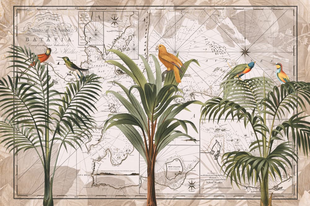 Vintage Tropical Birds Map by Andrea Haase — canvas wall art